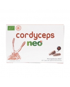 Cordyceps 60 cápsulas Neo