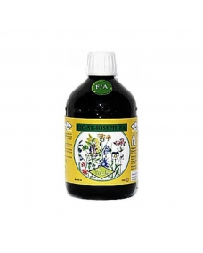 Bio San Joseph F/A (gama a la miel) 510 g Pianto