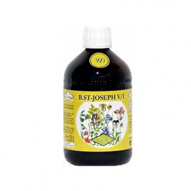 Bio San Joseph V/I (gama a la miel) 510 g Pianto
