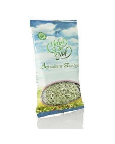 Poleo blanco (planta) bio 35 g Herbes del Molí
