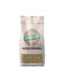 Avena bio 500g Biocop
