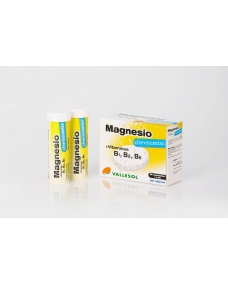 Magnesio efervescente + B caja de 12 unidades con 24 comprimidos Vallesol