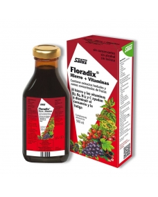 Floradix 500 ml Salus