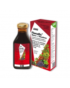 Floradix 250 ml Salus