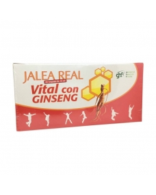 Jalea real vital con ginseng 20 ampollas GHF