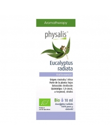 Aceite esencial de eucalipto radiata bio 10 ml Physalis