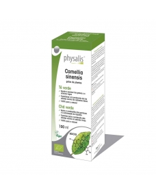 Te verde (camellia sinensis) extracto hidroalcoholico bio 100ml Physalis