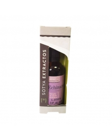 Extracto glicerinado de Equinacea 50 ml.Sotya