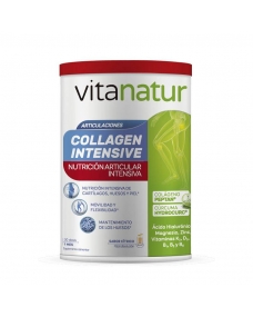 Collagen intensive 360g Vitanatur