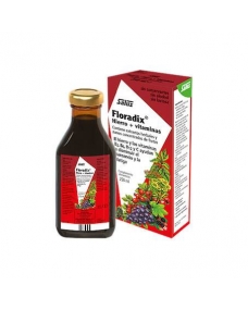 Floradix Jarabe Floravital (vegano) 250ml Salus