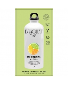 Bebida Soluble B12 Citricos 15x9g Bragulat 2