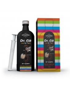 Jarabe infantil Dr.GB (intestino-cerebro) Bio 250ml Hifas da Terra