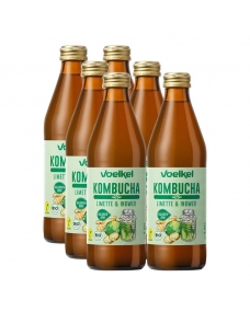Kombucha Lima y Jengibre Bio 6x330ml Voelkel