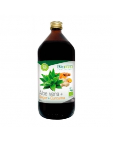 Jugo Aloe vera+ Jengibre+ Curcuma Bio 1L Biotona