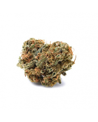 Flor de CBD Premium Orange Mood-Mandarin cookies 2g Cannactiva