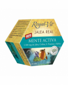 Jalea real Mente Activa 20 viales Royal-Vit Dietisa