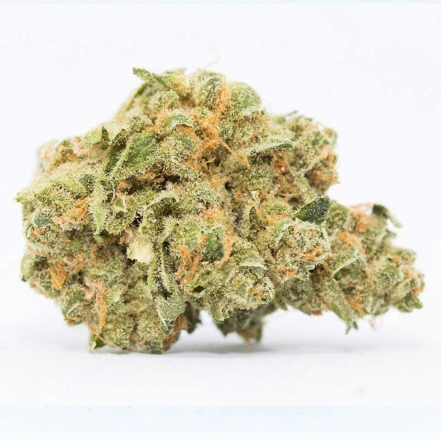 Flor de CBD Premium New York-Sour Diesel 2g...