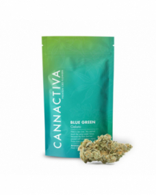 Flor de CBD Premium Blue Green-Gelato 2g Cannactiva 2