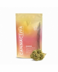 Flor de CBD Premium OHANA-Hawaiian Runtz 2g Cannactiva