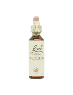 Flor nº 7 Chestnut Bud 20ml Bach