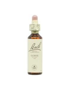 Flor nº 13 Gorse 20ml Bach