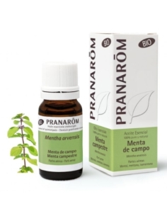 Pranarôm Aceite Esencial de Menta de Campo BIO 10ml