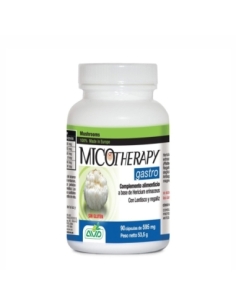 Gastro 90 capsulas Bio Micotherapy AVD Reform